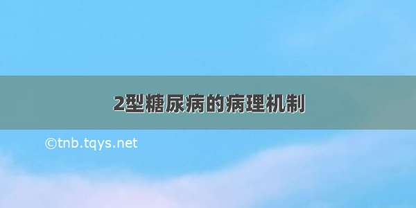 2型糖尿病的病理机制