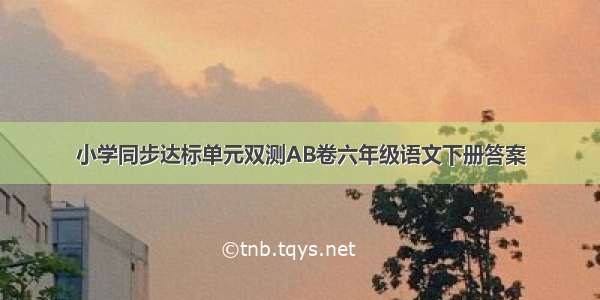 小学同步达标单元双测AB卷六年级语文下册答案