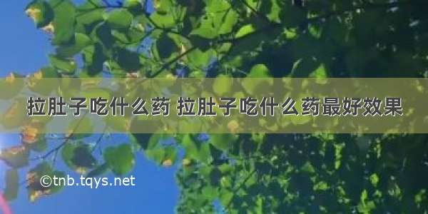 拉肚子吃什么药 拉肚子吃什么药最好效果