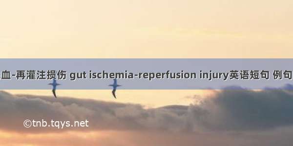 肠缺血-再灌注损伤 gut ischemia-reperfusion injury英语短句 例句大全