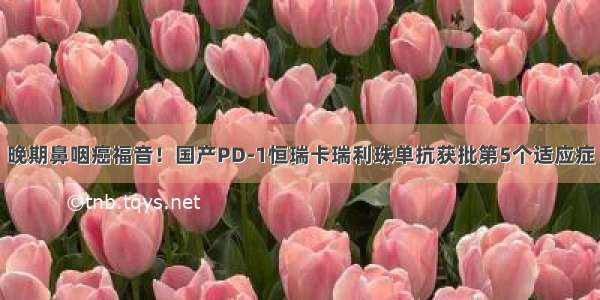 晚期鼻咽癌福音！国产PD-1恒瑞卡瑞利珠单抗获批第5个适应症