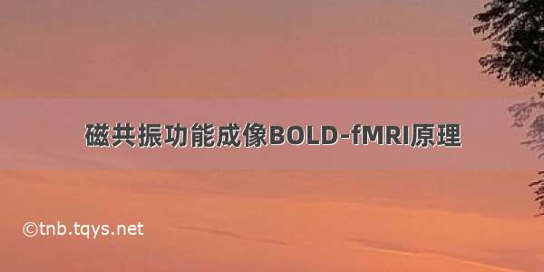 磁共振功能成像BOLD-fMRI原理