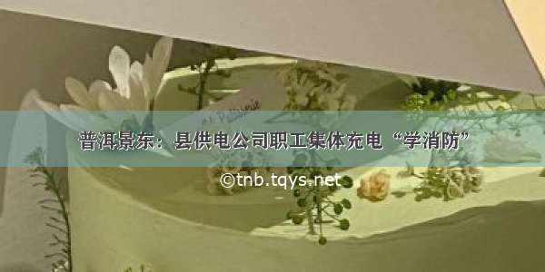 普洱景东：县供电公司职工集体充电“学消防”