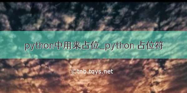 python中用来占位_python 占位符