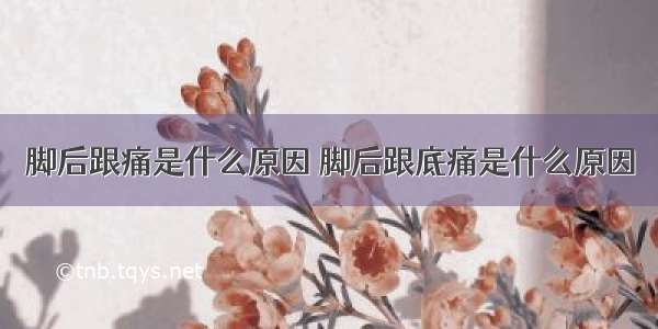 脚后跟痛是什么原因 脚后跟底痛是什么原因