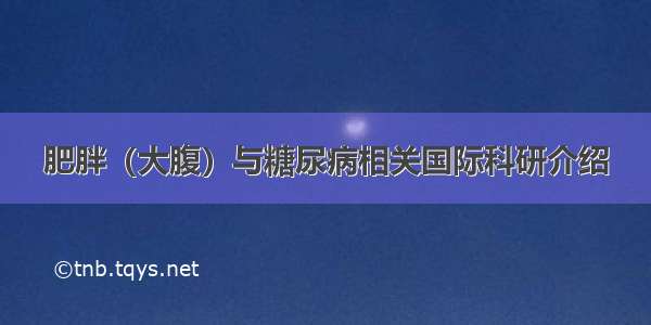 肥胖（大腹）与糖尿病相关国际科研介绍