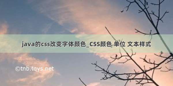 java的css改变字体颜色_CSS颜色 单位 文本样式