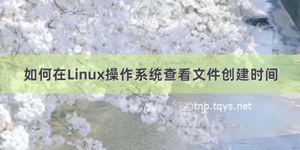 如何在Linux操作系统查看文件创建时间