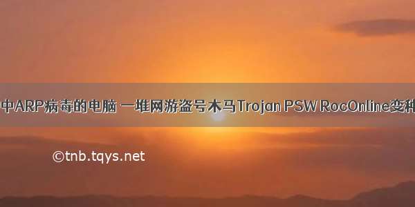 检查中ARP病毒的电脑 一堆网游盗号木马Trojan PSW RocOnline变种等