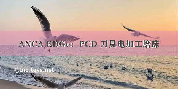 ANCA EDGe：PCD 刀具电加工磨床