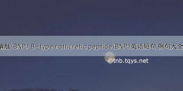 脑钠肽(BNP) B-type natriuretic peptide(BNP)英语短句 例句大全
