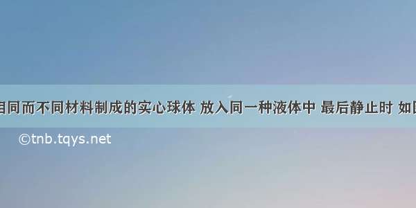 三个体积相同而不同材料制成的实心球体 放入同一种液体中 最后静止时 如图所示．则