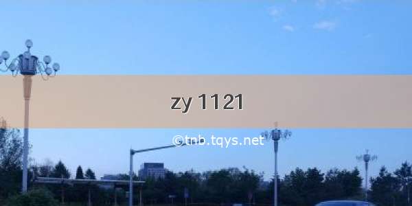 zy 1121