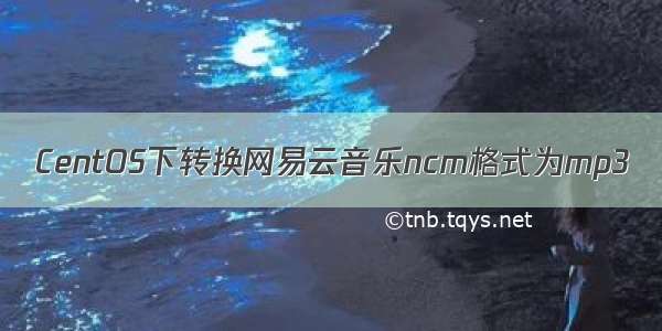 CentOS下转换网易云音乐ncm格式为mp3