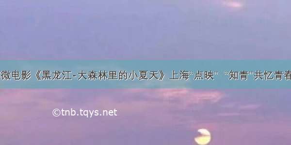 旅游微电影《黑龙江-大森林里的小夏天》上海“点映”  “知青”共忆青春岁月