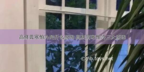 高烧畏寒怕冷是什么原因 高烧胃寒怕冷三大原因