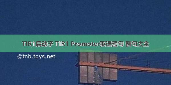 TIR1启动子 TIR1 Promoter英语短句 例句大全