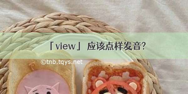 「view」 应该点样发音?