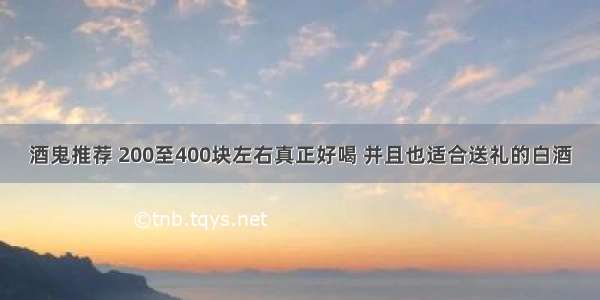 酒鬼推荐 200至400块左右真正好喝 并且也适合送礼的白酒