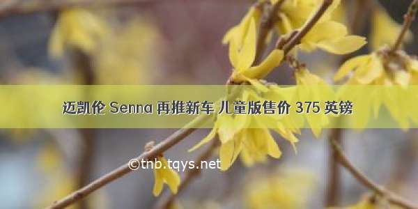 迈凯伦 Senna 再推新车 儿童版售价 375 英镑