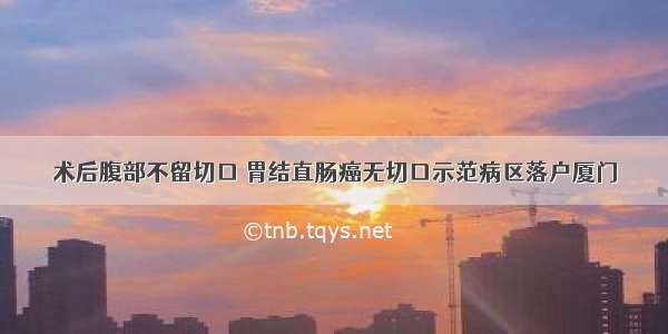 术后腹部不留切口 胃结直肠癌无切口示范病区落户厦门