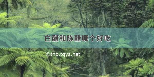 白醋和陈醋哪个好吃