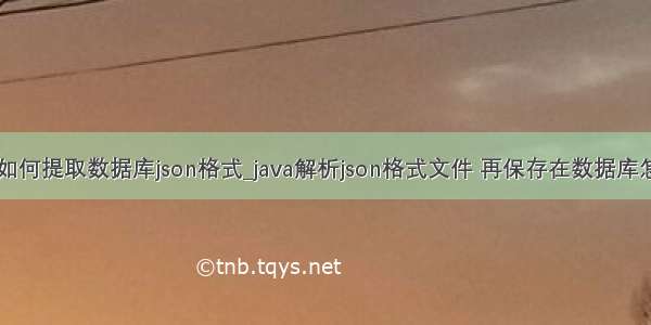 java程序如何提取数据库json格式_java解析json格式文件 再保存在数据库怎么做？...