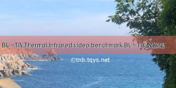 BU-TIVThermal Infrared video benchmark BU-TIV数据集