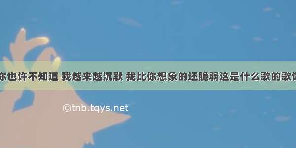 你也许不知道 我越来越沉默 我比你想象的还脆弱这是什么歌的歌词