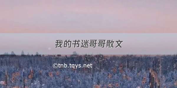 我的书迷哥哥散文