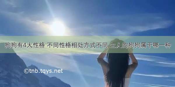 狗狗有4大性格 不同性格相处方式不同 主人的狗狗属于哪一种