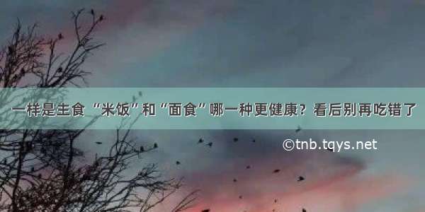 一样是主食 “米饭”和“面食”哪一种更健康？看后别再吃错了