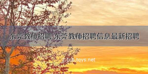 东莞教师招聘 东莞教师招聘信息最新招聘