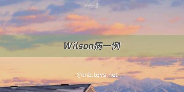 Wilson病一例