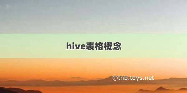 hive表格概念