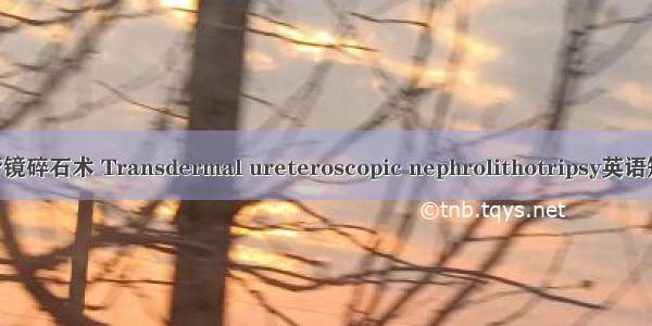 经皮肾输尿管镜碎石术 Transdermal ureteroscopic nephrolithotripsy英语短句 例句大全