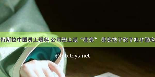 特斯拉中国员工爆料 公司禁止说“韭菜” 韭菜包子饺子也不能吃