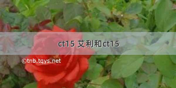 ct15 艾利和ct15