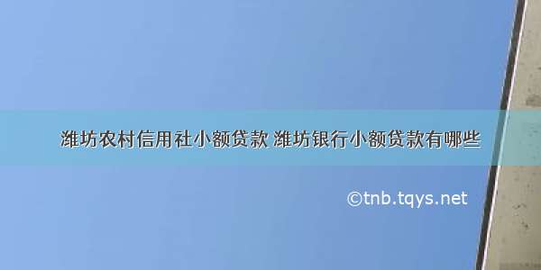 潍坊农村信用社小额贷款 潍坊银行小额贷款有哪些