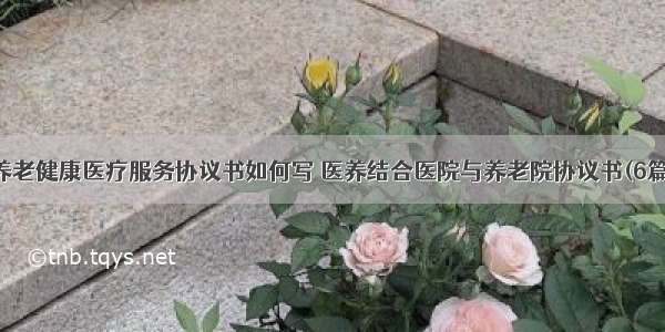 养老健康医疗服务协议书如何写 医养结合医院与养老院协议书(6篇)