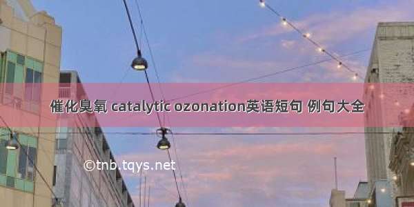 催化臭氧 catalytic ozonation英语短句 例句大全