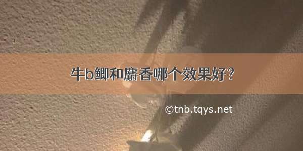 牛b鲫和麝香哪个效果好？