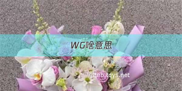 WG啥意思