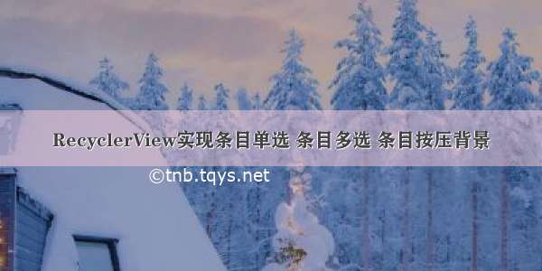 RecyclerView实现条目单选 条目多选 条目按压背景