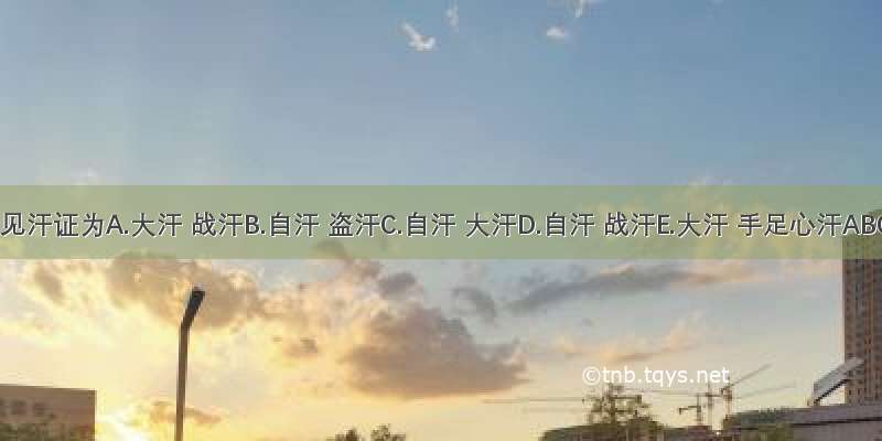 小儿常见汗证为A.大汗 战汗B.自汗 盗汗C.自汗 大汗D.自汗 战汗E.大汗 手足心汗ABCDE