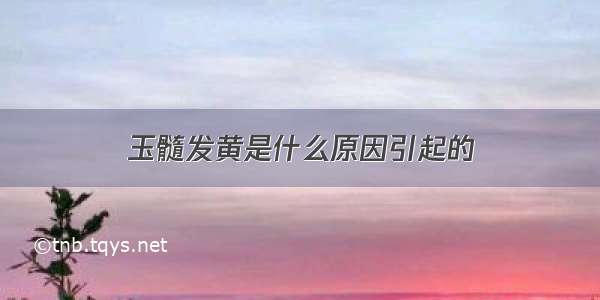 玉髓发黄是什么原因引起的