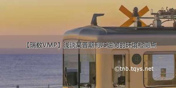 【瑞数VMP】浅谈某普期刊JS逆向的环境检测点