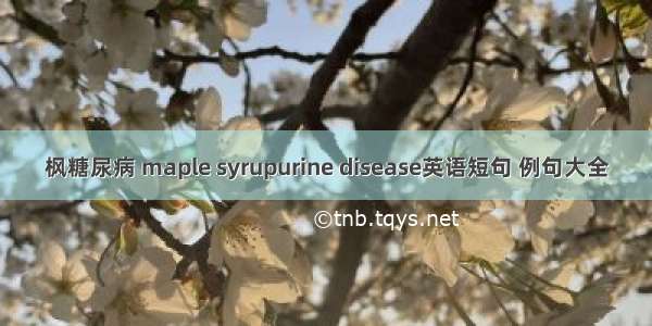 枫糖尿病 maple syrupurine disease英语短句 例句大全