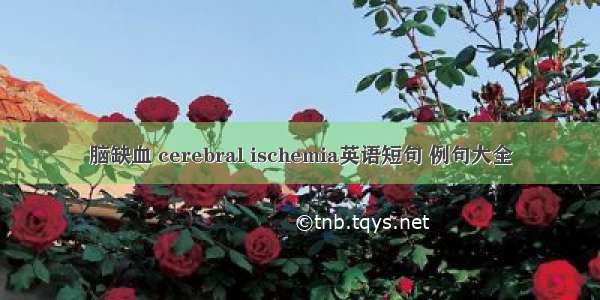 脑缺血 cerebral ischemia英语短句 例句大全