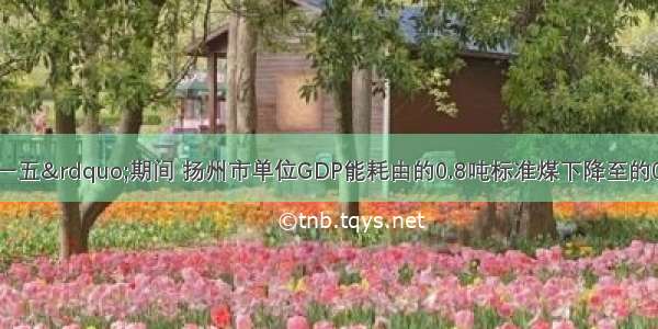 “十一五”期间 扬州市单位GDP能耗由的0.8吨标准煤下降至的0.6吨标准煤